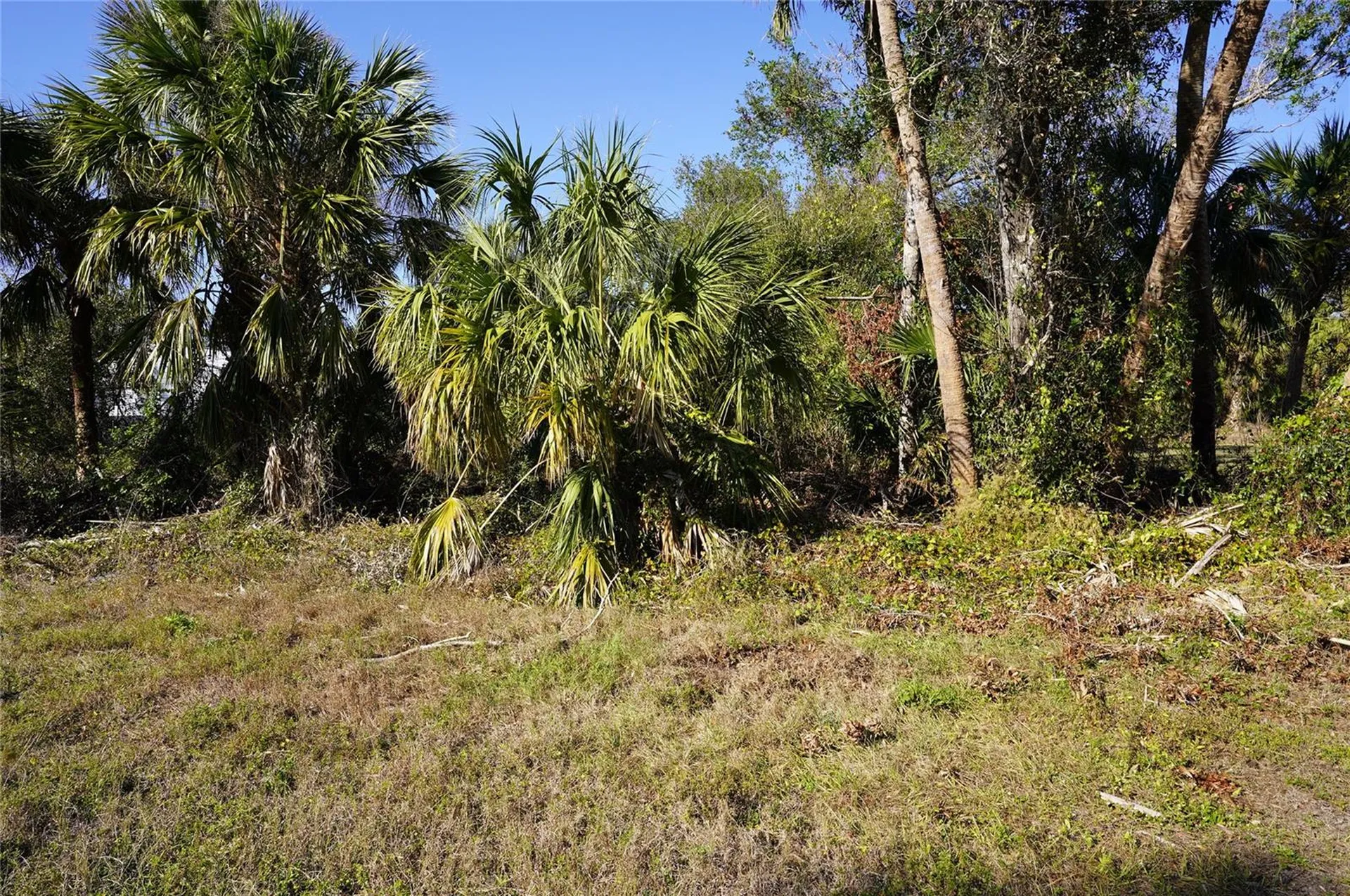 16150 Arcaro Avenue Port Charlotte FL 33954
