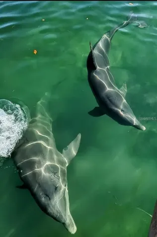 16150 Arcaro Avenue Port Charlotte FL 33954