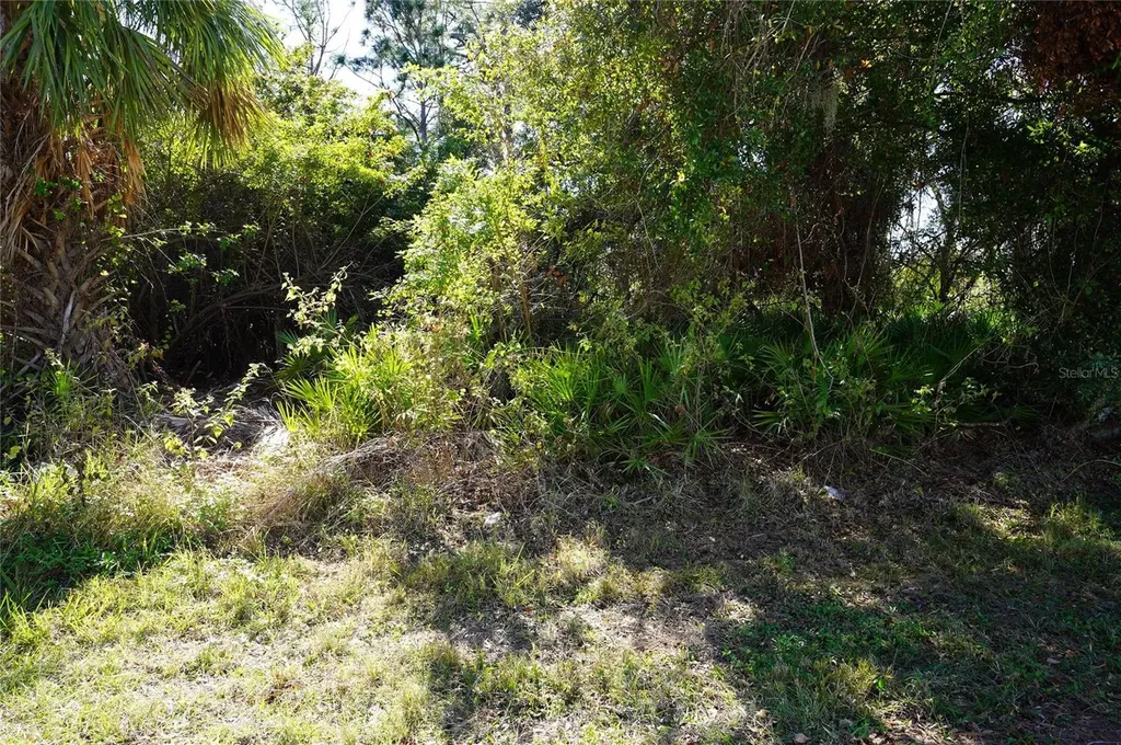23255 Stelling Avenue Port Charlotte FL 33980