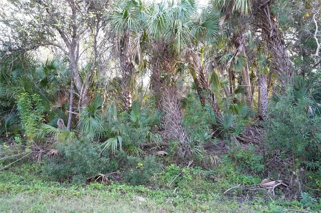 14299 Cannell Lane Port Charlotte FL 33953