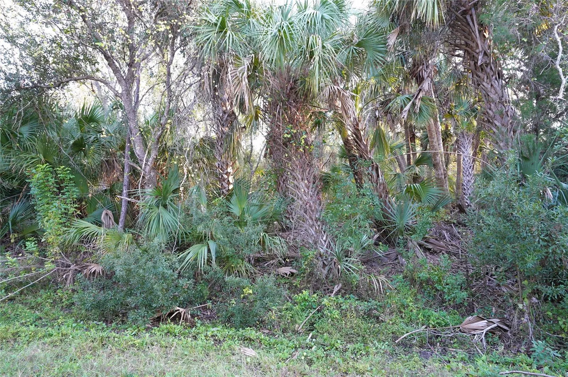 14299 Cannell Lane Port Charlotte FL 33953