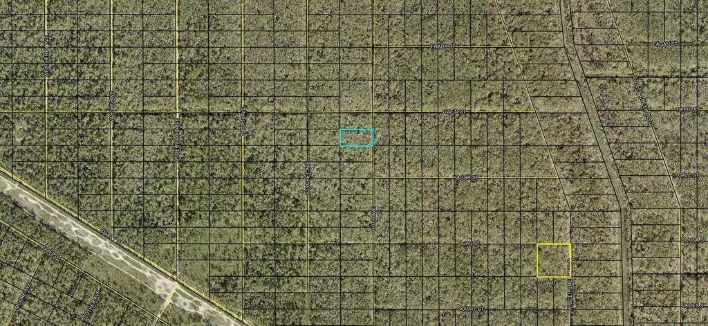 Xxx Ruth Avenue Avenue Hastings FL 32145