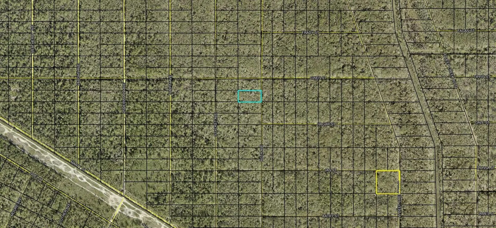 Xxx Ruth Avenue Avenue Hastings FL 32145