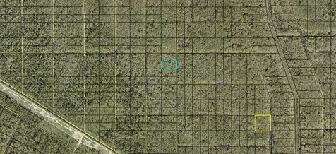 Xxx Ruth Avenue Avenue Hastings FL 32145