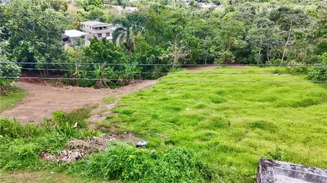 PR-165 Km 5.0 Bo. Quebrada Cruz Toa Alta PR 00953