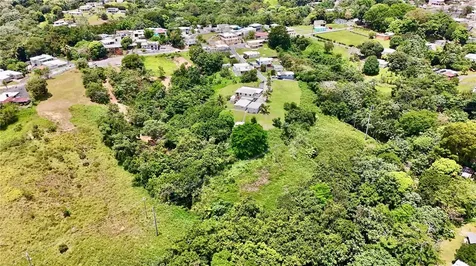 PR-165 Km 5.0 Bo. Quebrada Cruz Toa Alta PR 00953