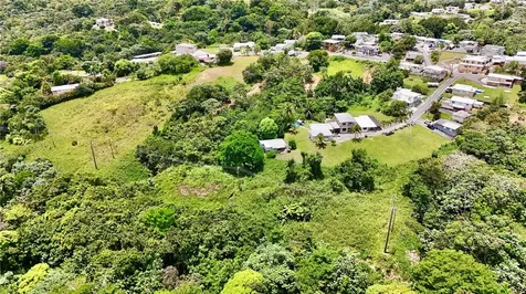 PR-165 Km 5.0 Bo. Quebrada Cruz Toa Alta PR 00953