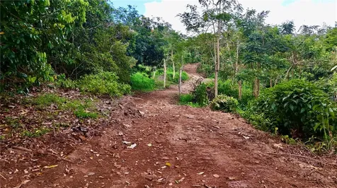 PR-165 Km 5.0 Bo. Quebrada Cruz Toa Alta PR 00953