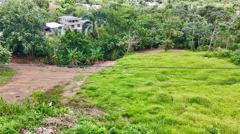 PR-165 Km 5.0 Bo. Quebrada Cruz Toa Alta PR 00953