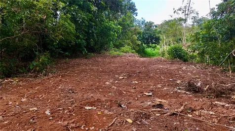 PR-165 Km 5.0 Bo. Quebrada Cruz Toa Alta PR 00953