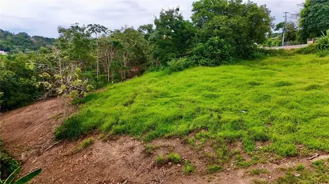 PR-165 Km 5.0 Bo. Quebrada Cruz Toa Alta PR 00953