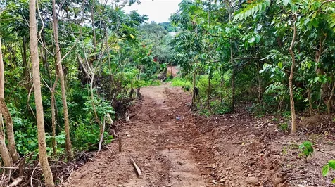 PR-165 Km 5.0 Bo. Quebrada Cruz Toa Alta PR 00953