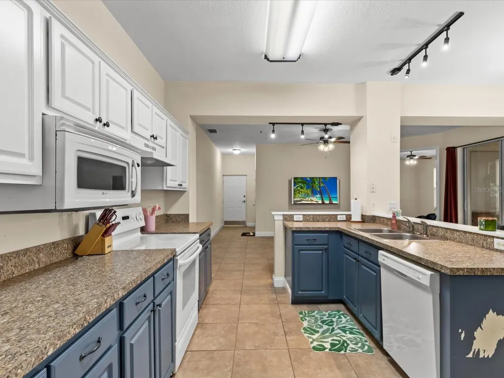 5041 Sunridge Palms Drive Tampa FL 33617