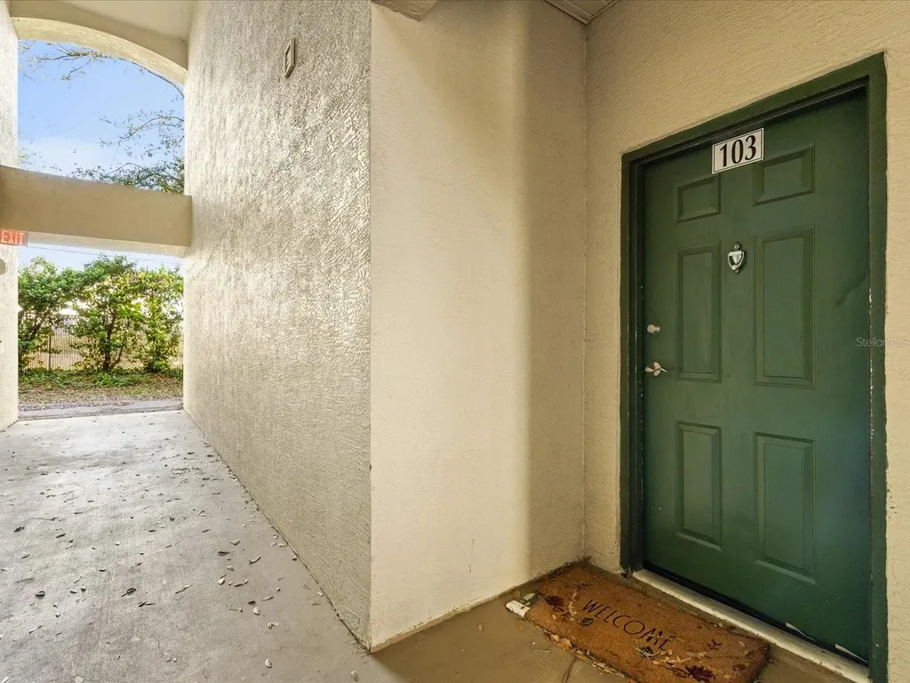 5041 Sunridge Palms Drive Tampa FL 33617