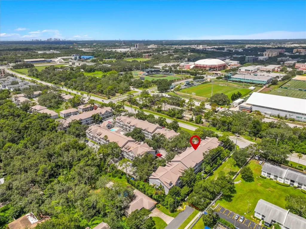 5041 Sunridge Palms Drive Tampa FL 33617