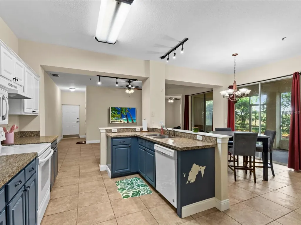 5041 Sunridge Palms Drive Tampa FL 33617