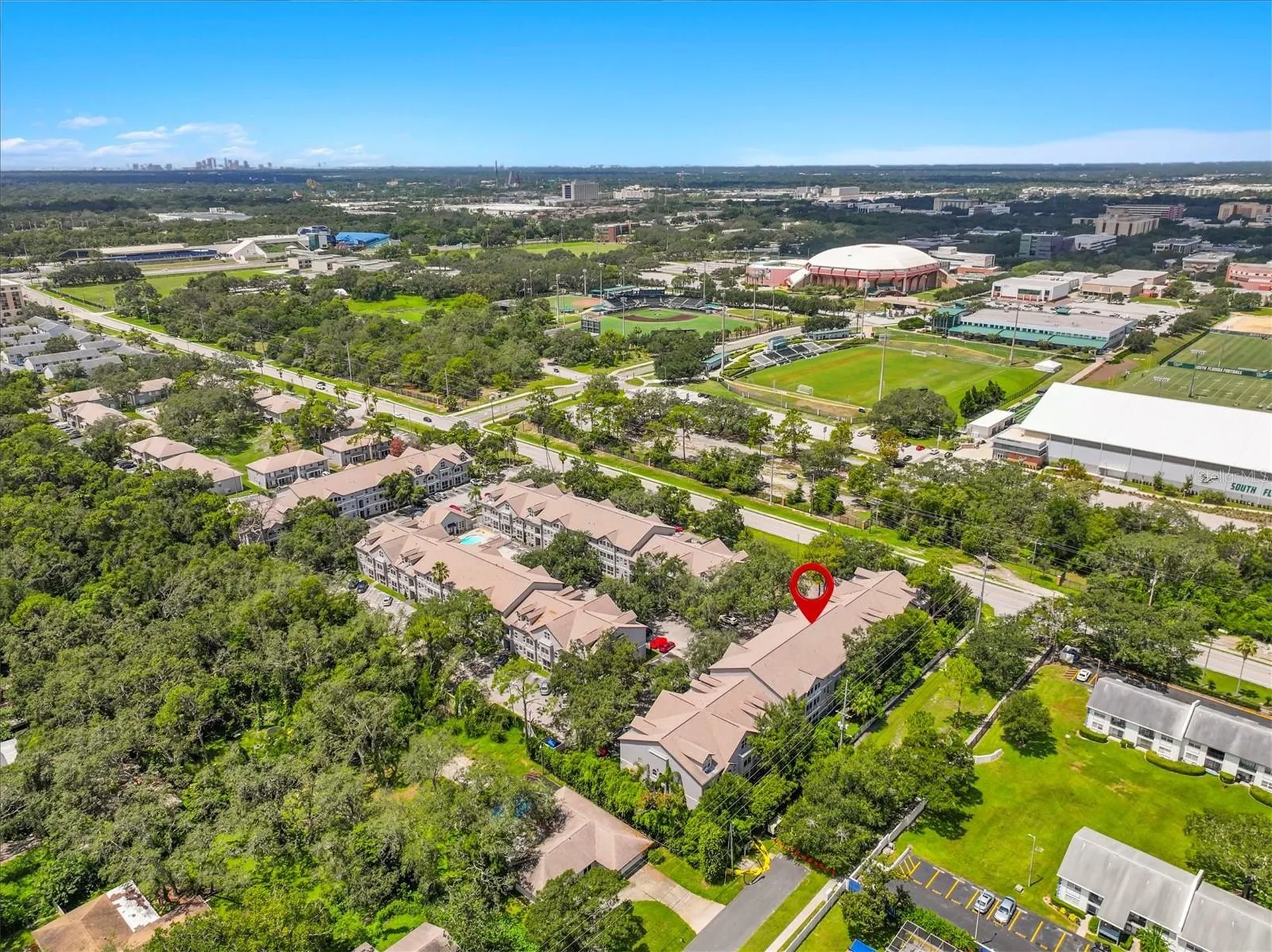 5041 Sunridge Palms Drive Tampa FL 33617