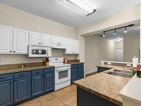 5041 Sunridge Palms Drive Tampa FL 33617