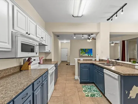 5041 Sunridge Palms Drive Tampa FL 33617