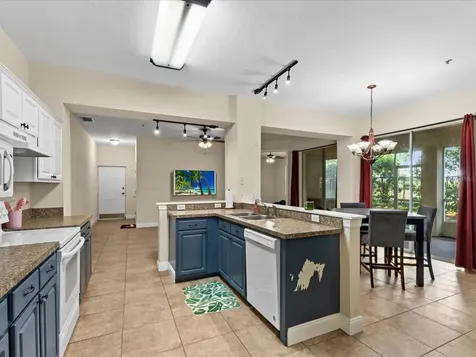 5041 Sunridge Palms Drive Tampa FL 33617