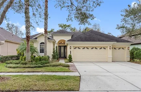 20408 Walnut Grove Lane Tampa FL 33647