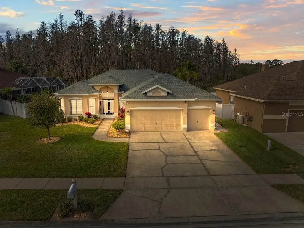 28725 Falling Leaves Way Wesley Chapel FL 33543