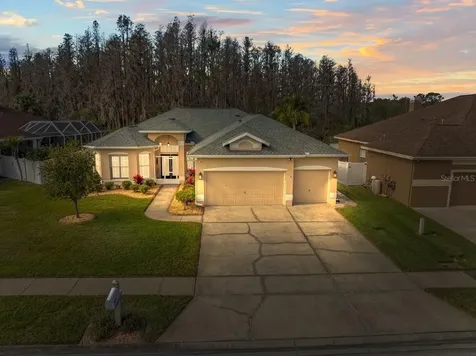 28725 Falling Leaves Way Wesley Chapel FL 33543