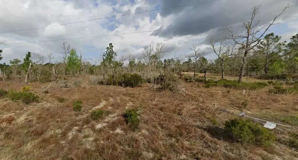 1137 Twin Lakes Boulevard Interlachen FL 32148