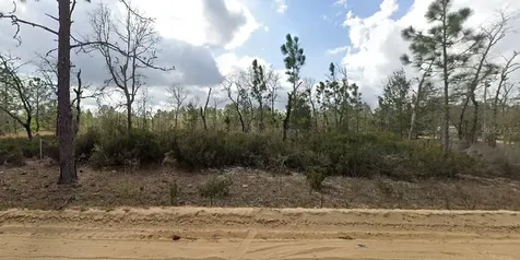 1137 Twin Lakes Boulevard Interlachen FL 32148