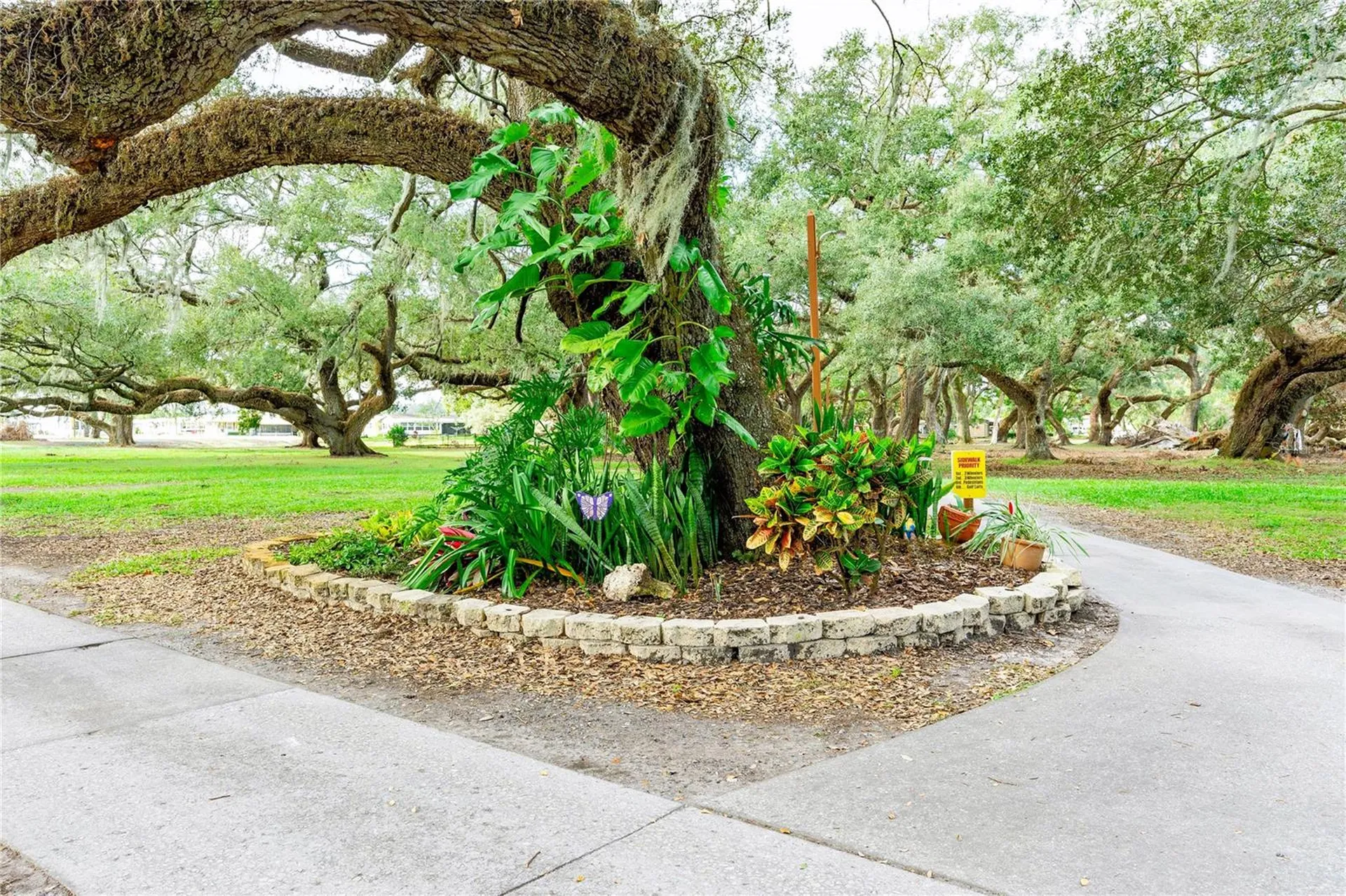 5348 Jo Zephyrhills FL 33542