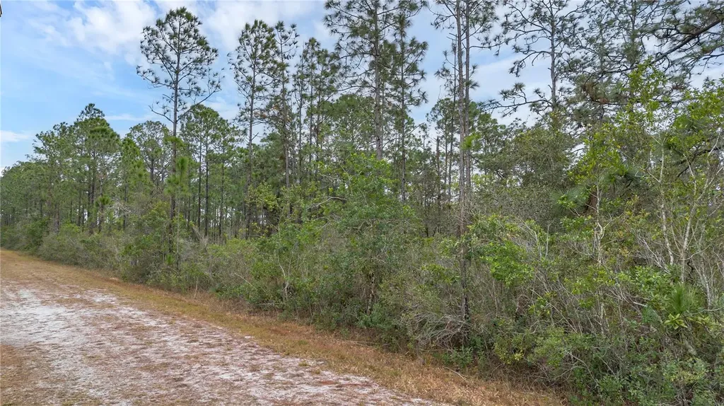 209 El Dorado Drive Indian Lake Estates FL 33855