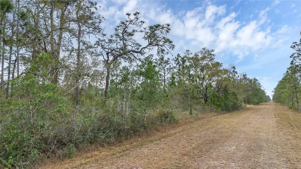 209 El Dorado Drive Indian Lake Estates FL 33855