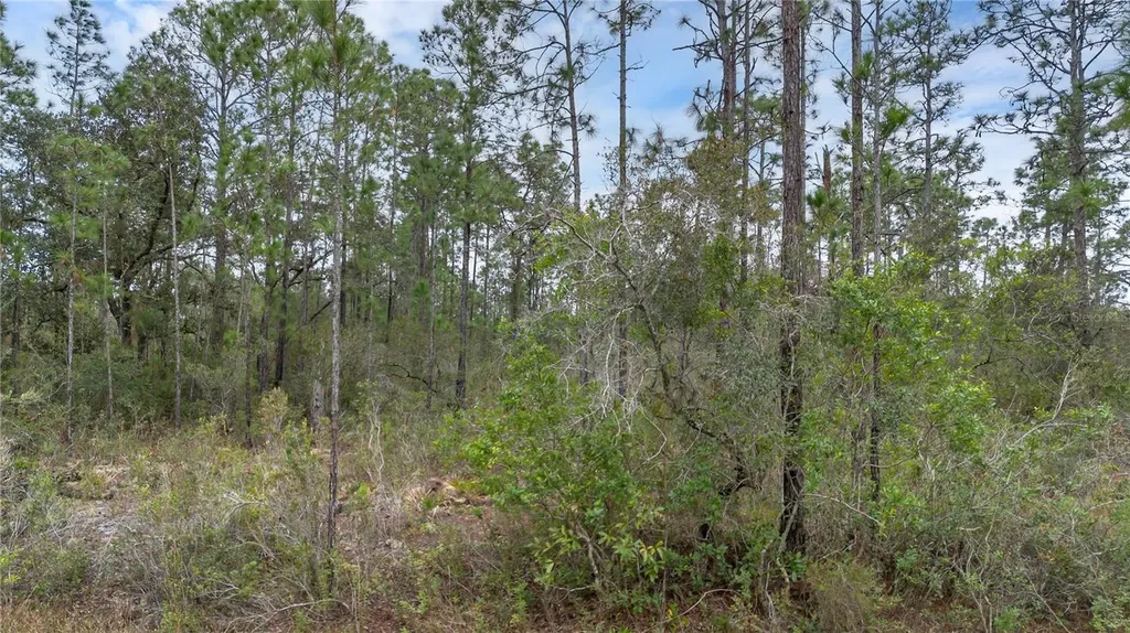 209 El Dorado Drive Indian Lake Estates FL 33855