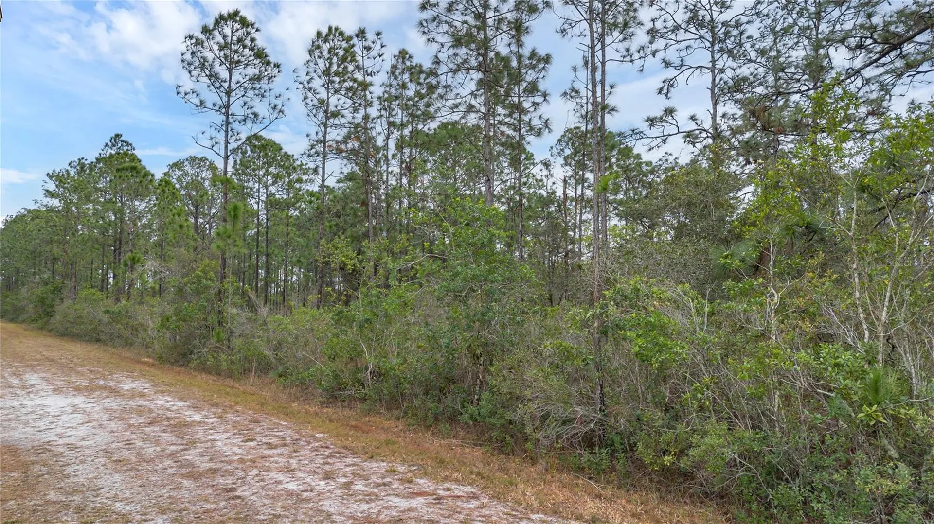 209 El Dorado Drive Indian Lake Estates FL 33855