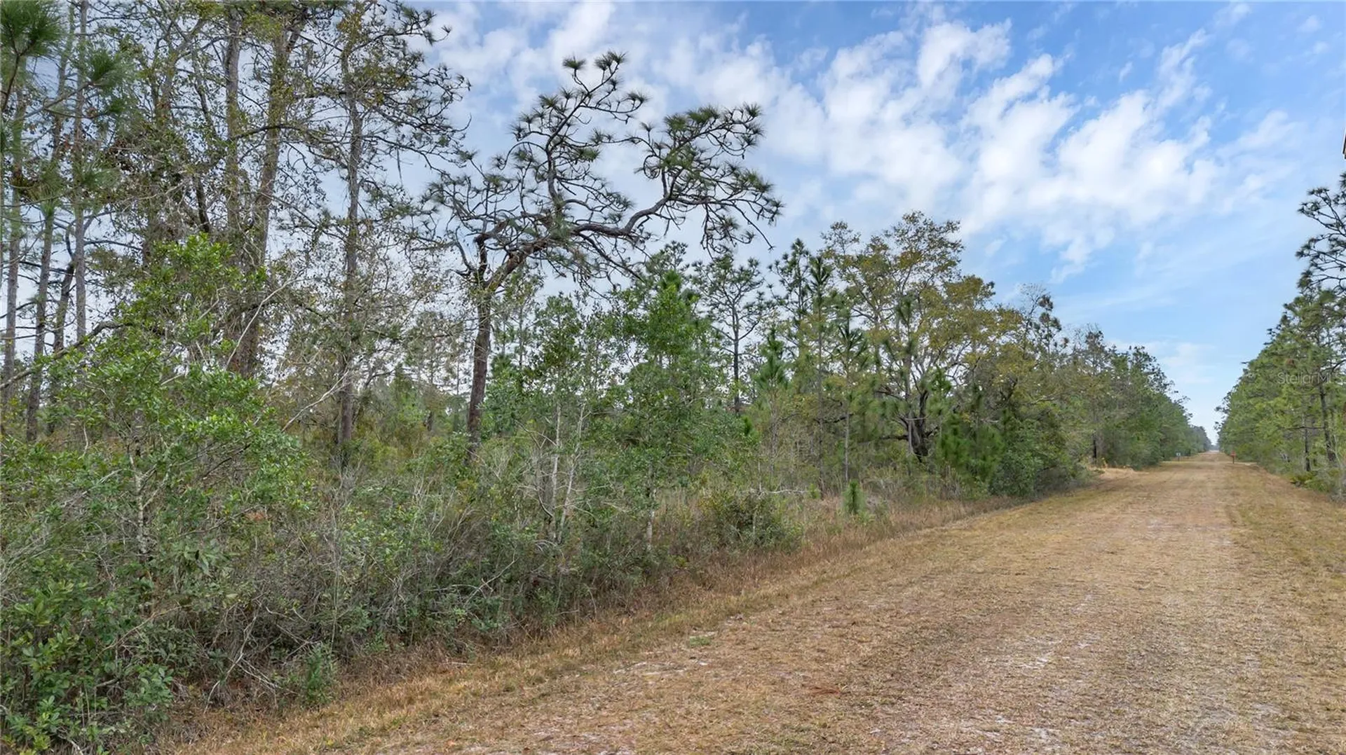 209 El Dorado Drive Indian Lake Estates FL 33855
