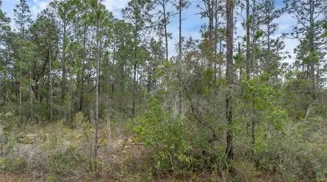 209 El Dorado Drive Indian Lake Estates FL 33855