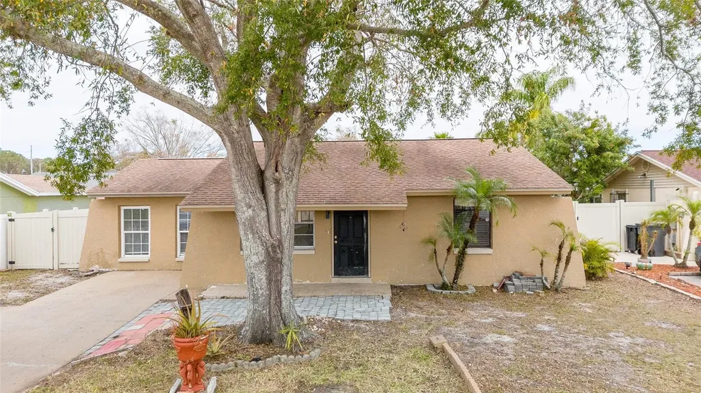 10205 Bellhurst Court Tampa FL 33615