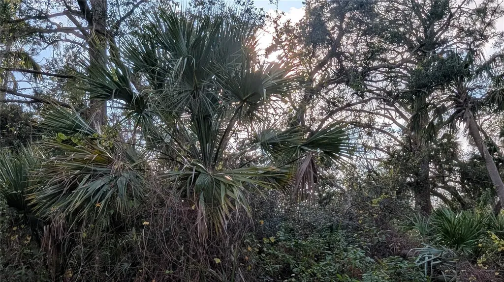 107 Juper Street Port Charlotte FL 33953