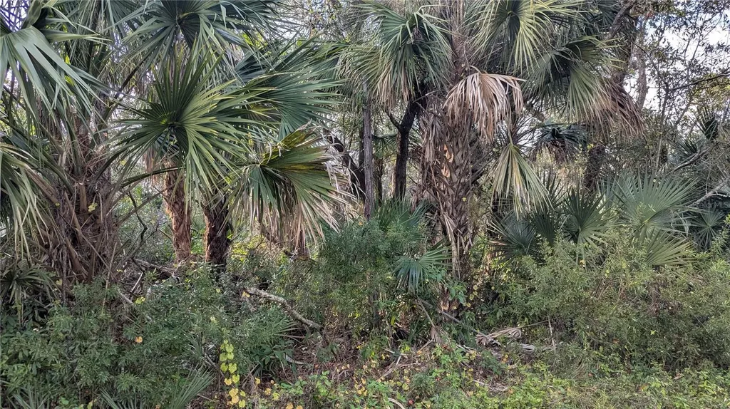 107 Juper Street Port Charlotte FL 33953