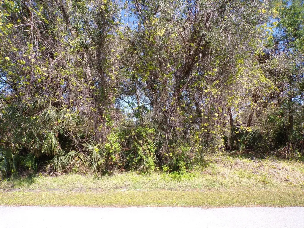 13156 Janwood Avenue Port Charlotte FL 33953