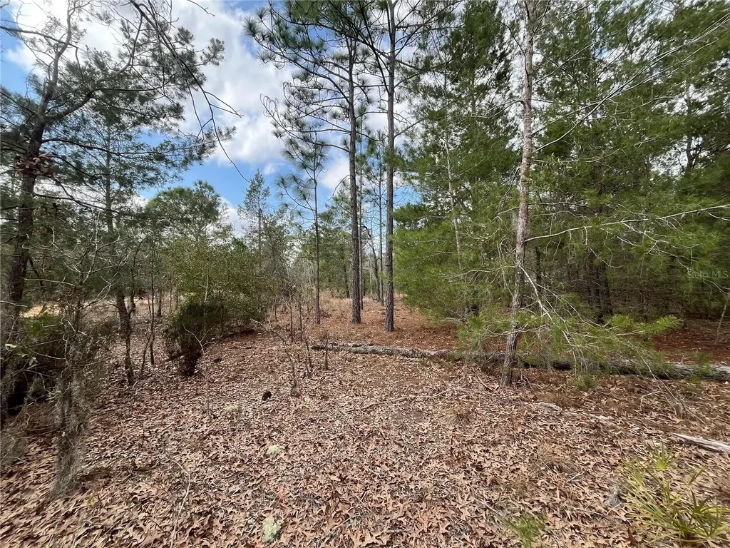 204 Glasgow Street Interlachen FL 32148