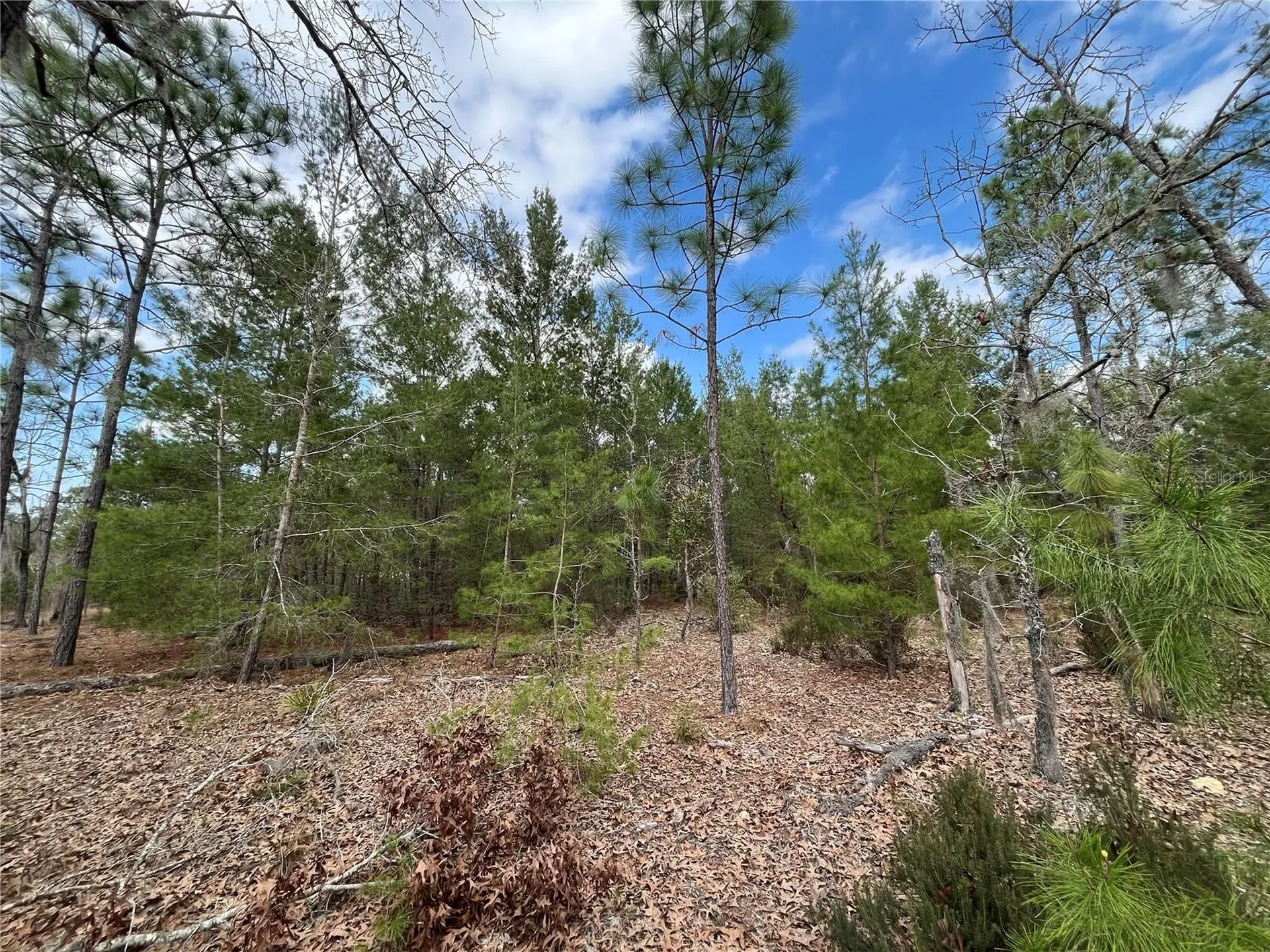 204 Glasgow Street Interlachen FL 32148