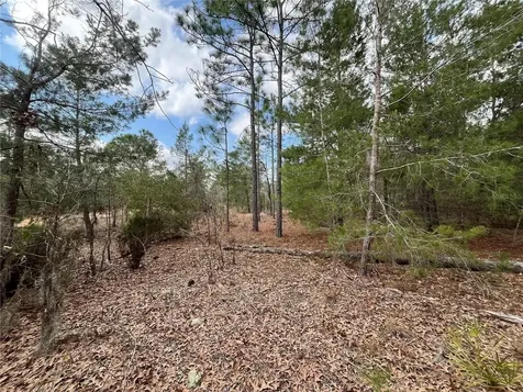 204 Glasgow Street Interlachen FL 32148