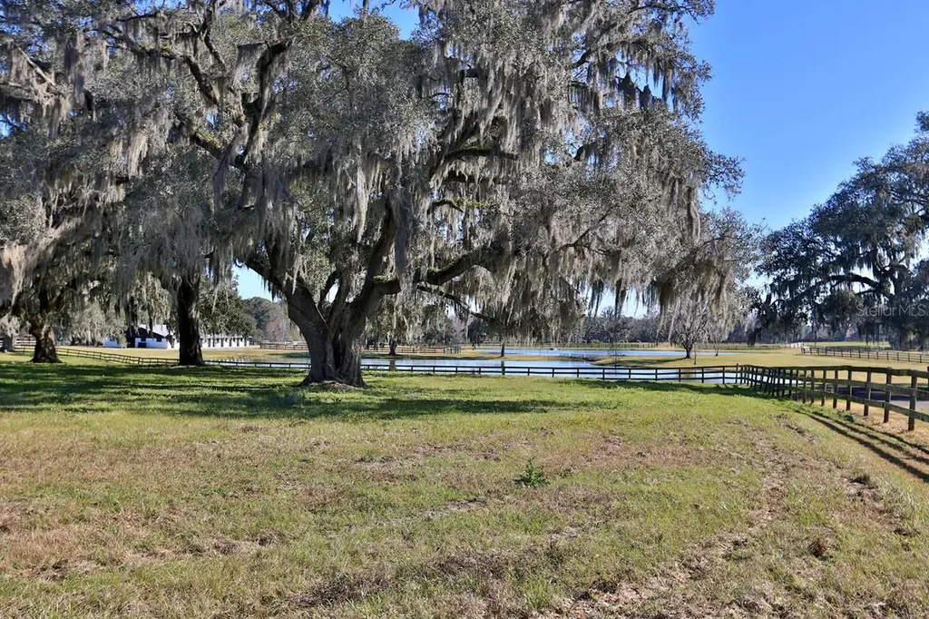 12853 NW 90th Avenue Reddick FL 32686