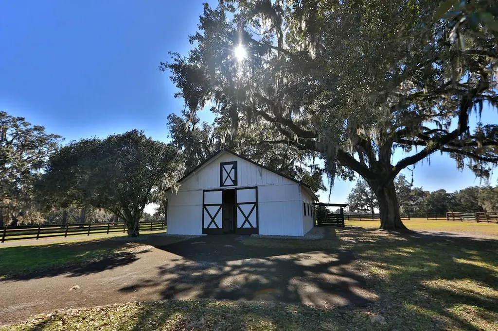 12853 NW 90th Avenue Reddick FL 32686