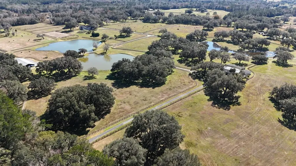 12853 NW 90th Avenue Reddick FL 32686