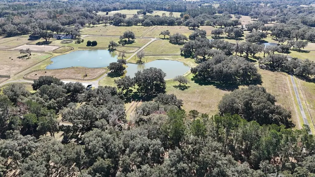 12853 NW 90th Avenue Reddick FL 32686