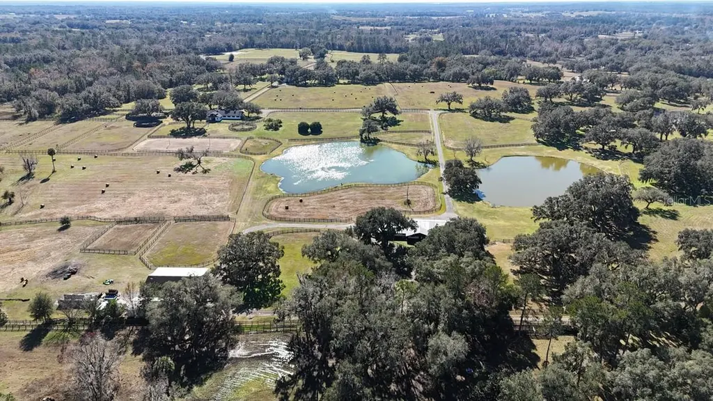 12853 NW 90th Avenue Reddick FL 32686