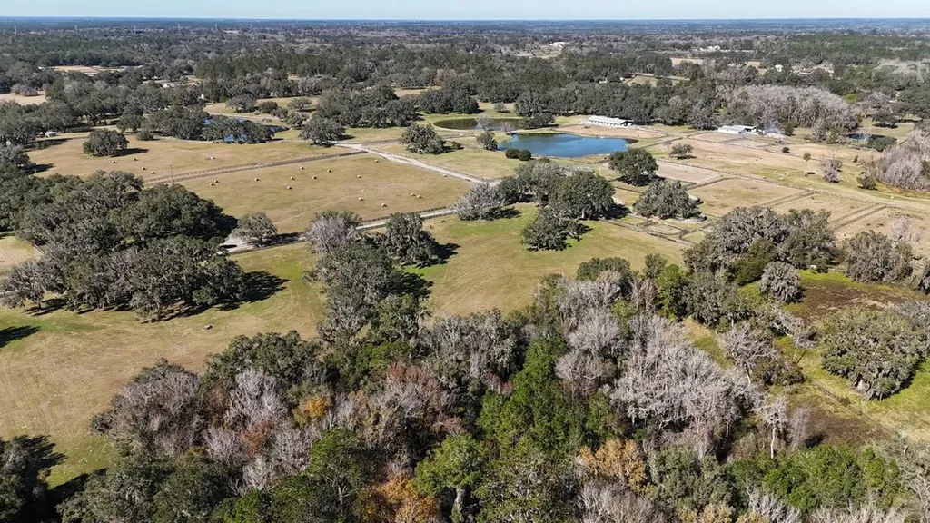 12853 NW 90th Avenue Reddick FL 32686