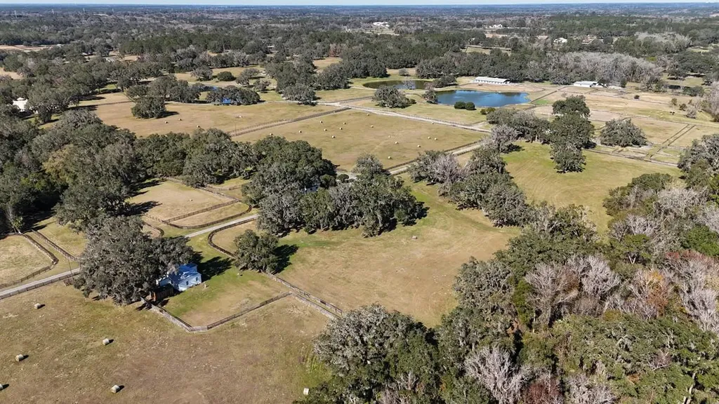 12853 NW 90th Avenue Reddick FL 32686